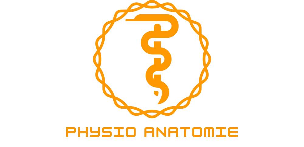Physio Anatomie